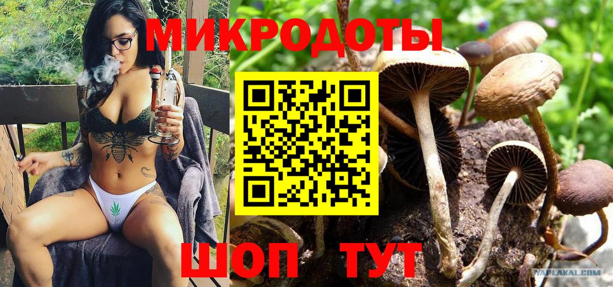 Алапаевск  Псилоцибиновые грибы прущие грибы  Псилоцибиновые грибы мицелий  Вход с VPN 
